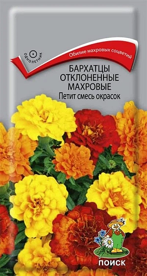 Семена Бархатцы отклоненные махровые Петит смесь окрасок однолетние 0,4 гр. Обилие махровых соцветий разнообразной окраски. Куст компактный, высотой 25 см, густоветвистый. Соцветия гвоздиковидные, махровые, диаметром 4-5 см. Цветёт с июля по август. Используют для клумб, рабаток, бордюров и создания декоративных пятен. Растение светолюбивое, засухоустойчивое. Предпочитает плодородные и солнечные места (может расти при небольшом затенении)