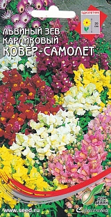 Львиный зев Ковер-самолет