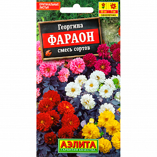 Семена Георгина Фараон смесь окрасок