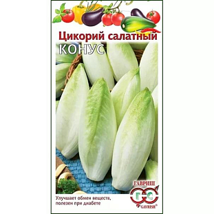 Семена Цикорий салатный Конус