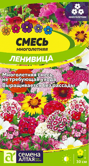 <div>
 Семена Смесь "Ленивица многолетняя" низкая.
</div>
Неприхотливая, искусно подобранная смесь низкорослых теневыносливых многолетних цветов. В составе смеси более 10 видов растений (алиссум, астра альпийская, маргаритка многолетняя, гравилат, лен многолетний, незабудка альпийская, вероника колосистая и др.), которые будут радовать вас ярким и пышным цветением с ранней весны до поздней осени. Смесь прекрасно подходит для каменистых садиков и альпийских горок. Великолепно выглядит при выращивании на клумбах, рабатках, бордюрах, за вегетационный сезон несколько раз меняет свой облик. Растения, входящие в состав смеси, неприхотливые, выносливые, их не сложно вырастить из семян, сохраняют декоративность на протяжении всего сезона при минимальном уходе. Нетребовательны к качеству почв и освещенности. Семена высевают в открытый грунт сразу на постоянное место в конце апреля – начале мая или под зиму (в сентябре-октябре). Перед посевом почву нужно как можно лучше взрыхлить, разровнять. После чего сделать рядки и посеять семена. Для более равномерного посева семена лучше предварительно смешать с песком. Сеять лучше в штиль, и обязательно в увлажненную почву. Заделывают посевы слоем мелкого перегноя (без комков) или торфом на 0,5-1 см. До появления восходов необходима защита укрывным материалом. Всходы пикируют или прореживают с интервалом 10-15 см. Последующий уход предусматривает рыхление, прополку и своевременный полив. Важно следить, чтобы почва не пересыхала.