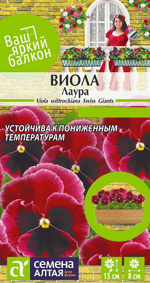 Семена Виола Лаура

Декоративный двулетник из серии Швейцарские гиганты, один из наиболее любимых садоводами цветов. Растение образует компактные кустики с крупными, до 8 см диаметром, многочисленными цветками лилово-розовой окраски с темным пятном у основания. Виола, или Анютины глазки, относится к самым рано и продолжительно цветущим растениям. Используется для создания красочных клумб, бордюров и рабаток. Великолепно смотрится в тротуарных вазах, настенных горшках, балконных и оконных ящиках.