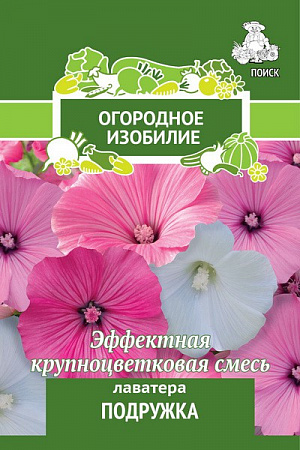 Семена Лаватера Подружка.
Эффектные яркие цветки. Великолепная смесь высокорослых сортов. Ветвистое растение, высотой 80-100 см, с воронковидными цветками до 8-10 см в диаметре, ярко-белой, розовой и карминно-розовой окраски. Используют для клумб, как фокусное растение, хорошо смотрится в рядовых посадках и для срезки.
 Посев: май
Глубина посева: 0.5 см
Время цветения: июль – окт.
Схема посадки: 25х30 см