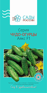 Семена Огурец Аякс чудо F1