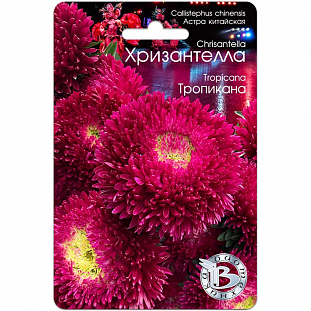 Семена Астра китайская Хризантелла Тропикана