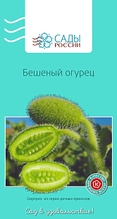 Семена Бешеный огурец