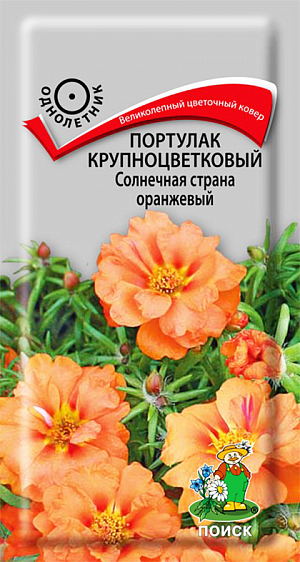 Семена Портулак Солнечная страна оранжевый крупноцветковый.
Великолепный цветочный ковер. Многолетнее растение, используемое как однолетнее. Образует кустик высотой 10 см. Оранжевые, похожие на розочки, махровые цветы, диаметром 3-4 см. Цветет с июня до заморозков. Идеально подходит для создания коврового цветника.
Агротехника. Растение предпочитает солнечные места и легкие супесчаные почвы. При выращивании рассады посевы проводят в марте. Семена слегка вдавливают в почву, землей не присыпают. Посадочную емкость накрывают стеклом и ставят в освещенное место. При температуре +18°C всходы появляются на 7-14 день. Сеянцы содержат при умеренной температуре, избегая переувлажнения почвы. Рассаду высаживают в конце мая. Семена соответствуют требованиям международных стандартов и ГОСТу РФ 12260-81