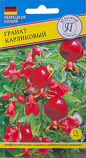 Семена Гранат Карликовый.
Многолетник. Высота растения до 1 м. Диаметр соцветия до 4 см. Высев семян проводится осенью или весной. Перед высевом семена желательно замочить на сутки в стимулирующем растворе. Субстрат - торфяная земля с добавлением перлита или вермикулита. Всходы появляются через 2-3 недели. Когда растения подрастут на 5 см, их рассаживают в маленькие горшки. Цветет и плодоносит гранат обычно уже в возрасте 2-3 лет.Цветение продолжается с мая по август. Цветки у граната двух типов – кувшинчатые с длинными пестиками и колокольчатые с короткими пестиками. Первые дают плоды, вторые – нет. В летнее время желательно перенести гранат на свежий воздух, не на палящее солнце. В декабре растение обычно сбрасывает листья перед периодом покоя, который длится 2-3 месяца. Желательная температура в этот период 13-15 градусов.