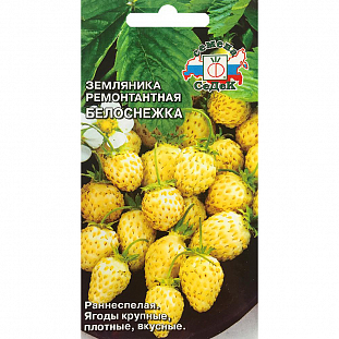 Семена Земляника (клубника) Белоснежка ремонтантная
