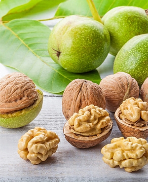 Саженцы Грецкий орех Идеал