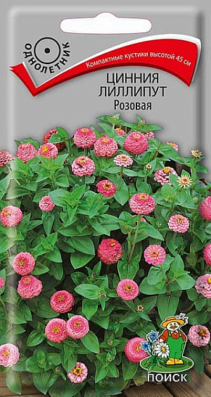 Семена&nbsp;Цинния лиллипут Розовая.&nbsp;Кустики с шаровидными соцветиями. Распространенное растение, не требующее особого ухода. Прекрасно подойдет начинающим цветоводам. Используется для высадки на клумбах и в группах. Семена высеивают в конце апреля, когда уже нет вероятности заморозков – цинния их не любит. Семена нужно на 1 см присыпать слоем грунта. Расстояние между цветками нужно выдержать 25-30 см. Выращивание – рассадным способом, всходы появляются на 6–10-й день. Начинает цвести цинния через 2,5 месяца.