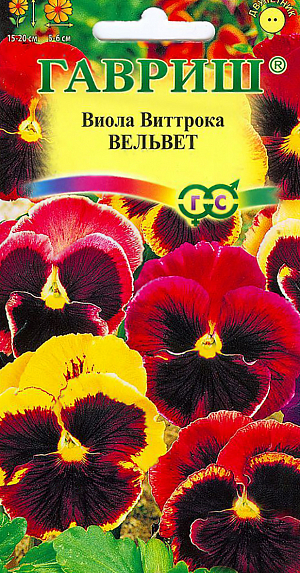 Семена Виола Вельвет Виттрока.
Неприхотливое популярное растение из семейства Фиалковые высотой 20-25 см.
Цветет обильно и продолжительно с мая по сентябрь. 
Цветки крупные (5-6 см в диаметре), белой окраски. Влаголюбива, холодостойка, хорошо растет на солнце и в полутени. 
Для получения растений, цветущих в год посева, семена высевают на рассаду в феврале-марте. Всходы появляются через 5-7 дней.
В открытый грунт рассаду высаживают в конце апреля-начале мая на расстоянии 20 см. 
Растения хорошо переносят пересадку в цветущем состоянии. При посеве в открытый грунт в июне-июле, цветение наступает во второй год. 
Используют для посадки на клумбы, рабатки, в балконные ящики и садовые вазы.