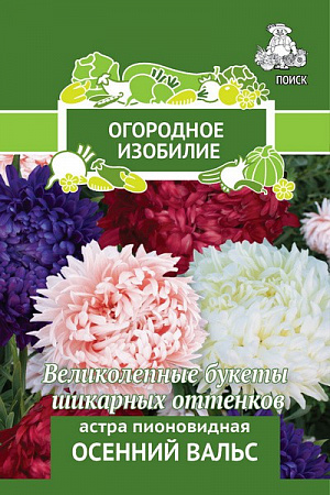 Семена Астра Осенний вальс пионовидная.
Великолепные букеты шикарных оттенков. Растение высотой 50-80 см. 
Соцветия махровые, диаметром 8-10 см, 8-12 штук на растении.
 Используют очень широко: для посадки в сборные цветники группами, на рабатки – рядами и на срезку.
 Посев: март
Глубина посева: 0.5 см
Высадка рассады: 25 мая- 5 июня
Время цветения: авг. – сент.
Схема посадки: 20х30 см