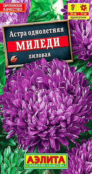 Семена Астра Миледи китайская лиловая.
<p>
 Однолетник.
</p>
<p>
 Высота растения 25-35 см.
</p>
<p>
 Диаметр цветка 10 см.
</p>
<p>
 МИЛЕДИ – серия привлекательных крупноцветковых низкорослых астр. Крепкие, приземистые, хорошо кустящиеся, компактные растения высотой 25-35 см с густомахровыми соцветиями Ø10-12 см. прекрасно смотрятся в бордюрах, балконных ящиках, горшках. Достоинствами серии МИЛЕДИ являются богатая цветовая гамма, высокая устойчивость к болезням и неблагоприятным погодным условиям, а также раннее (на 2 недели раньше обычных сортов), длительное цветение.<br>
</p>
<p>
 Посев. Выращивают рассадным способом. С развитием первой пары настоящих листочков сеянцы пикируют. На постоянное место рассаду высаживают в возрасте 30-35 дней. Возможен посев семян в открытый грунт весной или под зиму, в конце октября, на глубину 0,5-1 см. Растениям необходимы регулярные поливы, прополки, рыхления и подкормки.
</p>