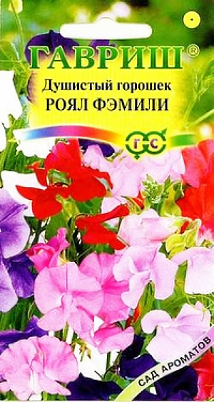 Семена Душистый горошек Роял Фэмили.
Однолетнее растение семейства Бобовые с лазающими стеблями высотой 2 м (длина цветоноса 30-40 см). Цветет с июля по сентябрь. 
Цветки крупные, собраны в изящные кисти по 5-8 цветков. Окраска их очень разнообразна – красная, лавандовая, синяя, пурпурная, белая.
Цветки обладают приятным тонким ароматом. Светолюбив, влаголюбив и холодостоек, предпочитает плодородные суглинистые и супесчаные почвы. Выращивают рассадным и безрассадным способом. В открытый грунт посев проводят в первой декаде мая. На рассаду семена высевают в конце марта-начале апреля в горшочки. Рассаду высаживают в середине мая на расстоянии 25-30 см. Семена перед посевом желательно прорастить.
Используется в озеленении, кроме того, срезанные цветки хорошо сохраняют свежесть в воде и используются в букетах.