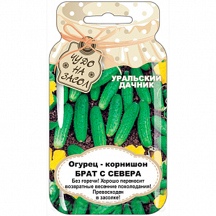 Семена Огурец-корнишон Брат с Севера