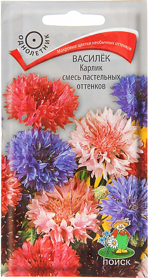 Семена Василек Карлик смесь пастельных оттенков. Популярный цветок. Растение с прямым разветвленным стеблем высотой до 30 см. Цветки собраны в некрупные соцветия-корзинки. Окраска белая, голубая, синяя, розовая, карминная, лиловая. Цветет с июня по сентябрь. Используют для оформления цветников, цветущих газонов и для срезки.<br>
Агротехника. Растение светолюбивое, холодостойкое. Почвы предпочитает рыхлые, питательные, нейтральные. Размножают посевом семян в апреле-мае в открытый грунт. Глубина заделки семян 0,3-0,5 см. При температуре почвы +20°C всходы появляются через 14-20 дней. Сеянцы прореживают, выдерживая расстояние между растениями 15-20 см.