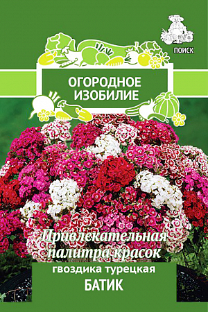 Семена Гвоздика Батик турецкая.
Очень привлекательное растение с плотными приплюснутыми разноцветными шапками цветков. Кустик высотой 50-60 см. Окраска цветков разнообразная. Листья линейно-ланцетные, зеленые. К концу 1-го года выращивания образуется розетка прикорневых листьев. Используют для сборных цветников, рабаток и для срезки.
 Посев: май-июнь
Глубина посева: 0.5 см
Время цветения: на 2-й год июнь-июль
Схема посадки: 25х30 см