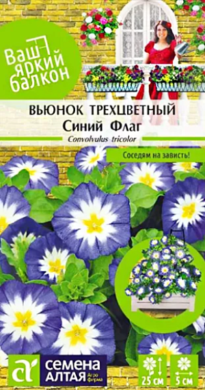 Семена вьюнок Синий флаг.<br>
 <br>
 Однолетнее вьющееся растение, хорошо облиственное. Карликовые кустики высотой до 20 см. Цветоносы крепкие. Цветки крупные (5 см.), ярко-синие, с контрастным белым центром и желтой серединкой, собраны на концах побегов. Открыты только в ясную погоду. Цветет обильно в течении июня-августа. Используют в рабатках, миксбордерах, для озеленения веранд, балконов, альпийских горок.<br>
 <br>
 Предпочитает плодородные дренированные почвы, солнечное, защищенное от ветра местоположение. Полив регулярный. Семена высевают в открытый грунт в первой половине мая (с предварительным замачиванием на 6 часов). Верхушку прищипывают при достижении им высоты 10 см.<br>