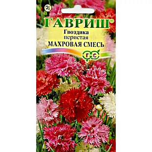 Гвоздика перистая махровая Сказка смесь Гвоздика перистая махровая Сказка смесь