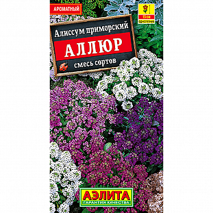 Алиссум Аллюр, смесь сортов