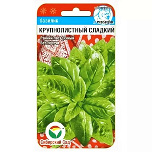 Семена Базилик Крупнолистный сладкий зеленый