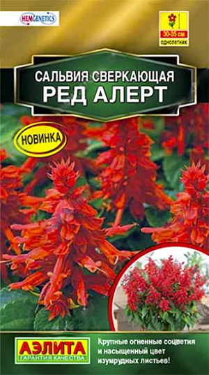 Семена Сальвия сверкающая Ред Алерт.&nbsp;Любимая садоводами культура теперь обрела по-настоящему крупные, плотные соцветия, сохраняющие глубину оттенка и декоративность длительное время, словно огненно-алые факелы. Цветение раннее и дружное. Кустики высотой 30-35 см, аккуратной, компактной формы, быстро растут. Листья глубокого изумрудного оттенка, формируют очаровательную пушистую «юбочку», подчеркивая уникальную яркость соцветий. Сорт используют в составе среднерослых цветочных композиций, миксбордеров, а также сольных групповых посадок. Сальвия Ред Алерт – удачный выбор для оформления потрясающих своей выразительностью садовых вазонов и контейнеров.<br>
 <br>
 &nbsp;В фазе трех-четырех пар листьев проводят формирующую прищипку рассады для лучшего кущения. Посадки размещают на солнечных участках. Сальвия предпочитает хорошо дренированные, умеренно плодородные почвы среднего мех состава с нейтральной кислотностью. Не любит переувлажнения.<br>
 <br>
 <br>
 <br>