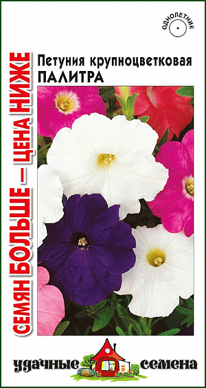 Семена Петуния Палитра крупноцветковая.
Очаровательная, смесь сортов разнообразной расцветки высотой до 30-40 см. Украсит цветники, среднерослые бордюры, подойдет для цветущих массивов на газонах. Цветки крупные, воронковидные, до 7-10 см в диаметре, с гладким краем лепестков. Петуния светолюбива и достаточно засухоустойчива. Предпочитает легкие, плодородные, хорошо дренированные почвы. 
Растения быстро восстанавливают декоративность после сильного дождя. Для более пышного цветения завядшие цветки удаляют.
