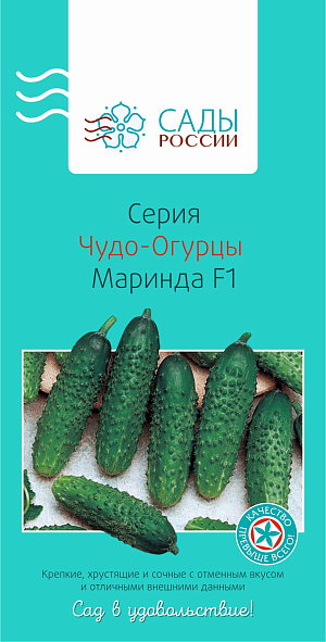 Семена Огурец Маринда чудо F1