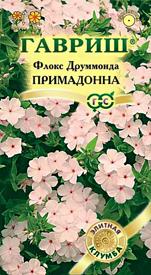 Семена Флокс Друммонда Примадонна <br>
 <br>
 Непревзойденный по красоте и цвету сорт для оформления сада в пастельных тонах и для создания контрастных композиций с ярко цветущими сортами цветов. Растение однолетнее, высотой 10-15 см. Цветки нежнейшего лососевого тона, до 1,5 см в диаметре, собраны в щитковидные соцветия. Зацветает рано, в начале июня, цветет обильно и продолжительно, до самых заморозков. Предпочитает солнечные места и легкие почвы. Посев на рассаду - в марте-апреле, высадка в грунт – в мае через 15 см. Используют как растение переднего плана на клумбах, в бордюрах, ковровых насаждениях, для массовых продаж в горшках и кассетах.<br>