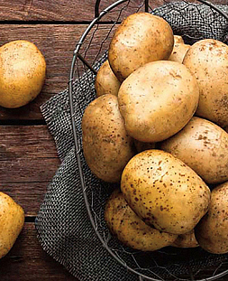 Семенной Картофель Ла страда