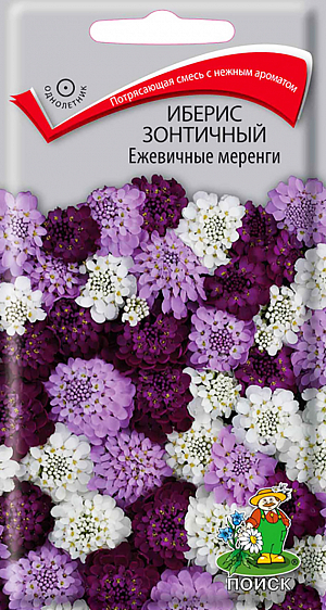 Семена Иберис зонтичный Ежевичные меренги.
Потрясающая смесь с нежным ароматом! Ветвистое растение раскидистой формы, высотой 30 см. Душистые цветки собраны в плотные соцветия до 5 см диаметром, белой, фиолетовой и пурпурной окраски. Цветет с июня в течение двух месяцев. Используют для сборных цветников, рабаток и бордюров. 
Агротехника. Растение неприхотливое, растёт на любой хорошо дренируемой почве. Предпочитает солнечное место, но выносит и легкое затенение. Размножают посевом семян в открытый грунт в мае. Можно выращивать посевом в грунт под зиму по мерзлой почве. Глубина заделки семян 0,5 см. При температуре почвы +18°C всходы появляются через 14 дней. Расстояние между растениями 20-25 см. Семена соответствуют требованиям международных стандартов и ГОСТу РФ 12260-81