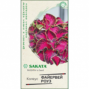 Семена Колеус Файервей Роуз