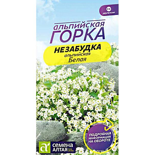Незабудка Белая альпийская Незабудка Белая альпийская