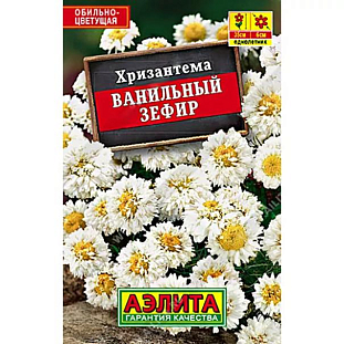Семена Хризантема Ванильный зефир