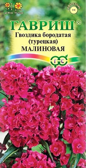 <div>
 Семена Гвоздика бородатая (турецкая) Малиновая.
</div>
 <article>
<p>
 Травянистое двулетнее растение с многочисленными узловатыми стеблями высотой 50 см. Стебли прямые, прочные, листья сидячие, ланцетные с серо-голубым оттенком. Цветки бархатистые, ароматные, малиновые, собраны в плотные щитковидные соцветия. Зимостойка, предпочитает освещенные участки с легкими плодородными почвами, может расти в полутени.&nbsp;
</p>
<p>
 Размножают посевом семян в грунт весной или под зиму. Оптимальная температура для прорастания семян 20°C. Всходы появляются через 7-10 дней. Сеянцы пикируют или продергивают, выдерживая расстояние между ними в 5 см. Подросшие растения рассаживают на постоянное место. Цветет в июне-июле на второй год после посева. Используют для цветников, бордюров и получения высококачественной срезки.
</p>
 </article>