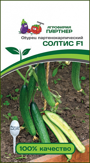 Семена Огурец Солтис F1