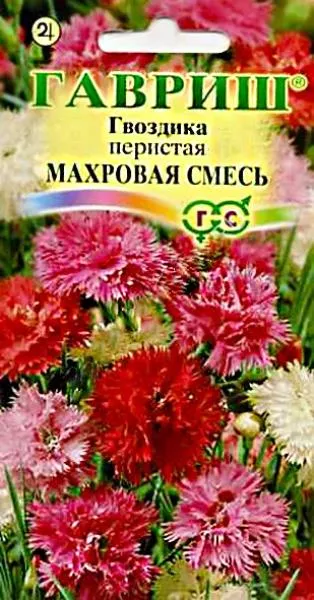 <div>
 Семена Гвоздика перистая махровая Сказка.
</div>
 <article>
<p>
 Многолетнее почвопокровное растение высотой 25 см. Образует ковер из махровых душистых цветков различной окраски до 3,5 см. в диаметре. Листья имеют сизый налет. Посев в январе-марте в рассадные ящики. Всходы появляются через 7-14 дней. Рассаду высаживать в грунт в мае-июне. Массовое цветение наблюдается в июне-июле в течение 30 дней. Возможно повторное цветение в конце лета. Непосредственно в грунт высевают в мае. Предпочитает солнечное место и легкую, хорошо дренированную почву. Украсит альпийскую горку, дорожку, вазон.
</p>
 </article>
