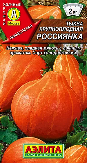 Тыква крупноплодная Россиянка Тыква крупноплодная Россиянка