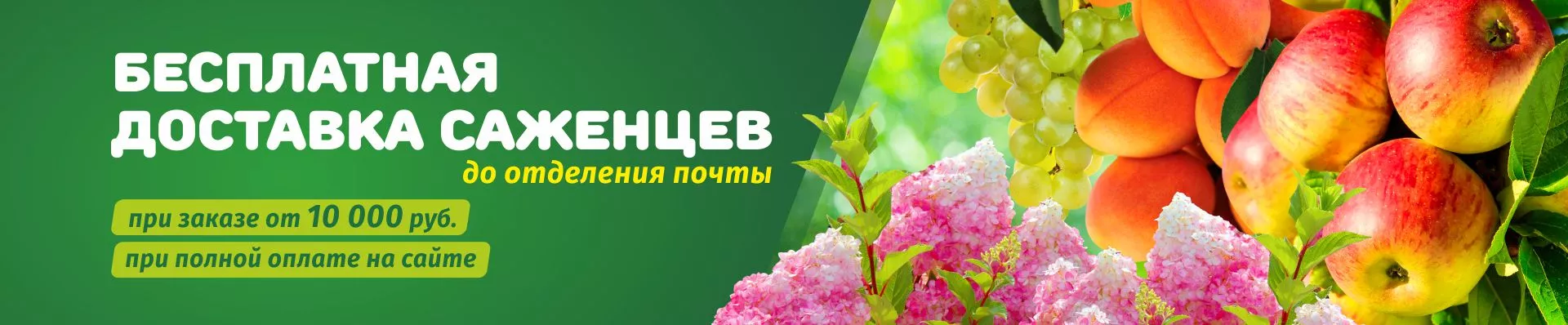 Бесплатная доставка саженцев