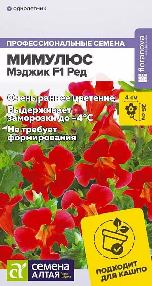 Мимулюс Мэджик Ред из каталога Разные Семена Мимулюс Мэджик Ред.<br>
<br>
Максимально раннее цветение! Неприхотливое холодостойкое растение, выдерживает понижения температуры до -4°С. Формирует компактные хорошо ветвящиеся кустики с крупными пламенно-красными цветками. Цветение обильное и продолжительное. Выращивают как в открытом грунте, так и в качестве горшечной культуры; растение идеально для балконных ящиков и бордюрных посадок.<br>
<br>
Высота растения: 20-25 см. Ширина растения: 20-25 см. Диаметр цветка: 4 см.<br>
<br>
Способ посева: семена высевают на уплотненное ложе замоченных торфяных таблеток или увлажненного грунта, не заделывая. Увлажняют из опрыскивателя. Емкость накрывают прозрачной крышкой или пленкой до появления первых всходов, обеспечивают досветку до 12-16 часов в сутки, периодически проветривают. Оптимальная температура для всходов +20…22°С<br>
Время до появления всходов: 5-7 дней<br>
<br>
Период цветения: май-сентябрь, с 7-8 недели от посева, при длительной досветке на 2-3 недели раньше<br>
Уход: оптимальная температура для растений +10…18°С. Первую подкормку комплексным минеральным удобрением проводят через 5 дней после перевалки в отдельные емкости. Далее – 1 раз в 9-12 дней. Полив организуют так, чтобы давать субстрату подсохнуть, но не допускать увядания растений. Длительная досветка (допустима круглосуточная) стимулирует более раннее цветение. При появлении вредителей рекомендуется обработка инсектицидами<br>
<br>
<br>
<b> Внимание!</b> Семена дражированные, оболочку не разрушать, она растворяется при поливе!<br>