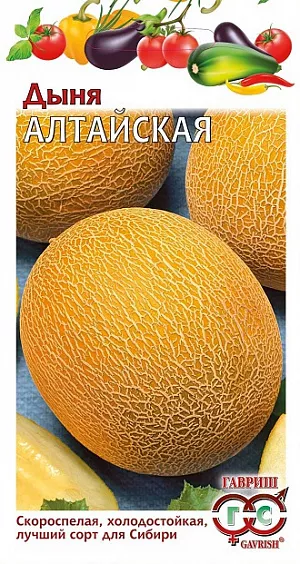 Семена Дыня Алтайская Семена Дыня Алтайская