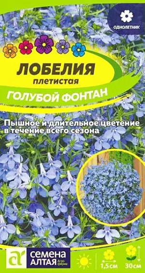 Семена Лобелия плетистая Голубой Фонтан<br>
 <br>
 Очаровательное растение для подвесных корзин и контейнеров, выращиваемое в однолетней культуре. Распростёртые или свисающие побеги, длиной до 30 см, обильно усыпаны мелкими, 1,5 см диаметром, голубыми цветками причудливой формы, расположенными в пазухах листочков. Чудесно смотрится в подвесных корзинах, балконных ящиках, вазонах, мини-альпинариях. Светолюбивое, теневыносливое и влаголюбивое растение, достаточно холодостойкое. Наибольшей декоративности достигает на открытых солнечных участках с хорошо дренированными супесчаными и суглинистыми почвами средней влажности без избытка органики (иначе цветение будет слабым). Посевы на рассаду проводят в феврале. <br>