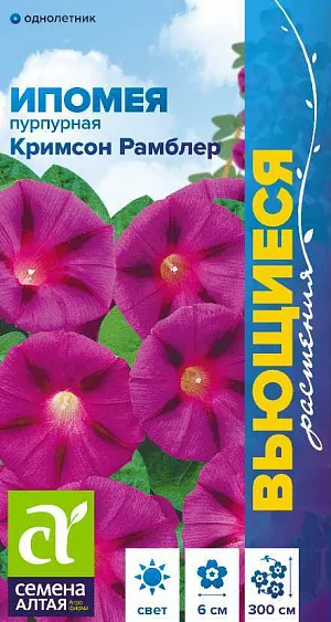 Ипомея Кримсон Рамблер

Однолетняя травянистая быстрорастущая лиана, достигающая в длину 2,5-3,0 м. Одно из лучших растений для вертикального озеленения. На фоне сочной зелени щитовидных листьев контрастно и очень эффектно смотрятся яркие крупные, до 6 см диаметром, воронковидные по форме карминно-красные цветки с нечетким звездчатым рисунком. Перед посевом семена замачивают на 2-3 часа в горячей воде (до +50ºС) для набухания. В открытый грунт на постоянное место рассаду высаживают в конце мая - начале июня. Посевы в открытый грунт проводят во второй половине мая по 2-3 семечка в лунку, глубина заделки семян 0,5-1 см. Посадочный интервал – 25-30 см. При температуре воздуха +18-20°С всходы появляются через 14-18 дней. Цветение с июля до заморозков. Для продолжительного и обильного цветения увядшие цветки рекомендуется удалять.