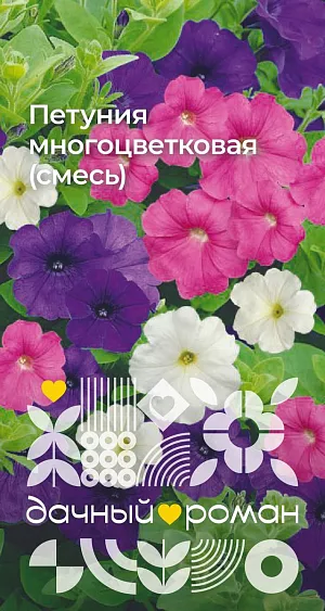 Семена Петуния многоцветковая (смесь)

Цветки яркие, 4–8 см в диаметре, многочисленные, образуются не только на концах побегов, но и по всей их длине. Бутоны появляются значительно раньше, чем у других петуний. Форма куста раскидистая, выравненная по высоте. Хорошо переносит сырую дождливую погоду. Простая в выращивании, прекрасно подходит для новичков. Замечательно чувствует себя в небольших контейнерах и кашпо. Рассаду высаживают в грунт после угрозы возвратных заморозков.