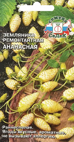 Семена Земляника (клубника) Ананасная ремонтантная