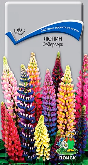 Семена Люпин Фейрверк.
Любимые эффектные цветы. Растение высотой до 100 см. Листья красивые, пальчатосложные, на длинных черешках. Кистевидные соцветия красного, белого и желтого цвета. Обильное цветение в июне. Используют для бордюров, рабаток, миксбордеров. 
Агротехника. Растение предпочитает солнечные участки, к почвам не требовательно, хорошо растет на любой садовой земле. Семена высевают в апреле-мае в открытый грунт на постоянное место, выдерживая расстояние между растениями 20-25 см. Всходы появляются на 25-30 день. Семена соответствуют требованиям международных стандартов и ГОСТу РФ 12420-81.