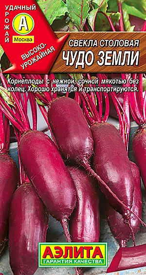 Свекла столовая Чудо земли Свекла столовая Чудо земли