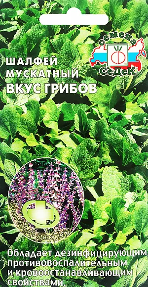 Шалфей мускатный Вкус грибов
