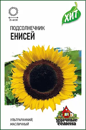 Семена Подсолнечник Енисей Семена Подсолнечник Енисей